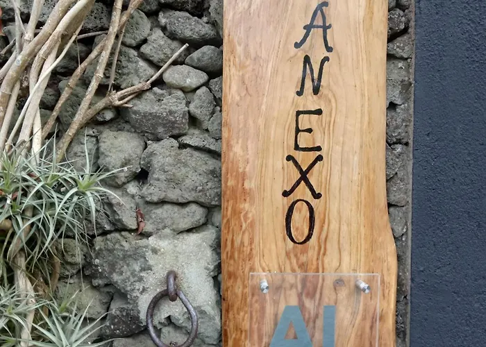 O Anexo
