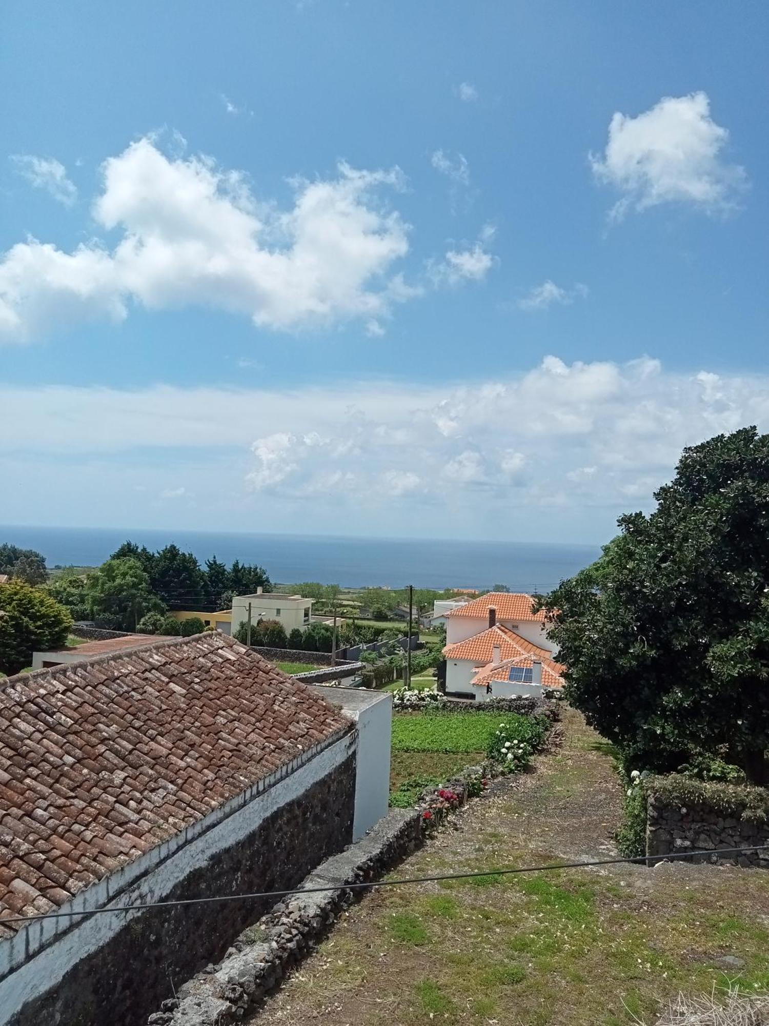Apartment O Anexo